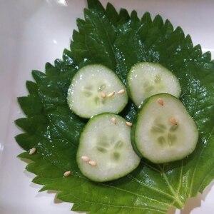 大葉のお皿♪きゅうりのナムル✧˖°